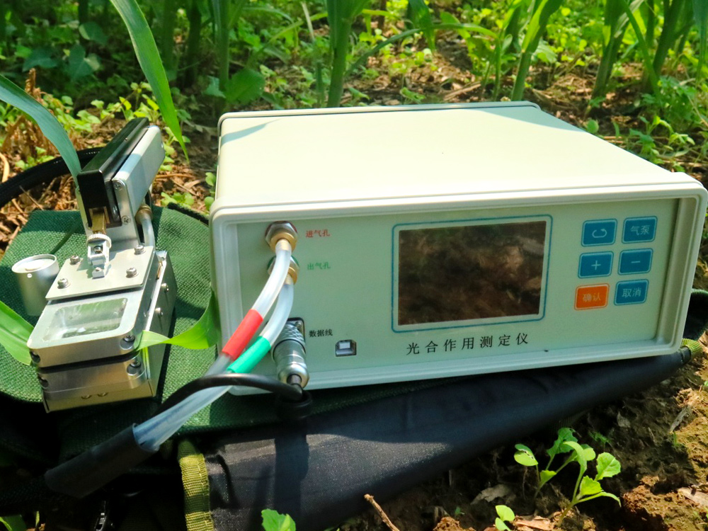 新款FS-3080D光合作用測(cè)定儀