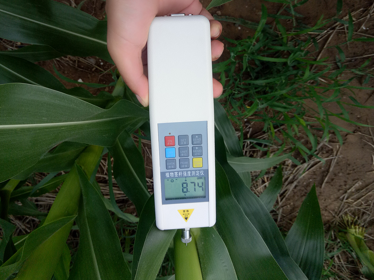 泛勝DDZ系列植物抗倒伏測(cè)定儀
